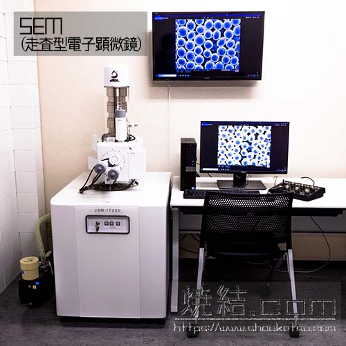 SEM(走査型電子顕微鏡)