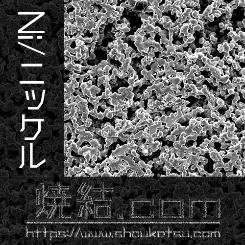 ニッケル多孔質金属の気孔形状