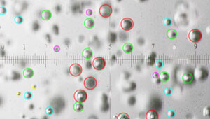サブミリバブル発生状況(識別) バブリングノズルによるサブミリバブル発生状況(識別)